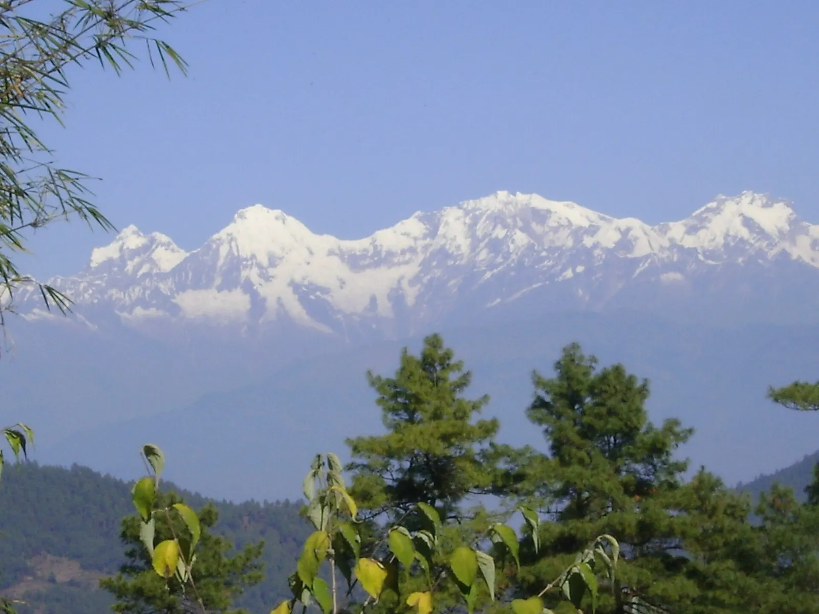 Snow-capped Himalayan peaks seen beyond forested ridges from Daman.