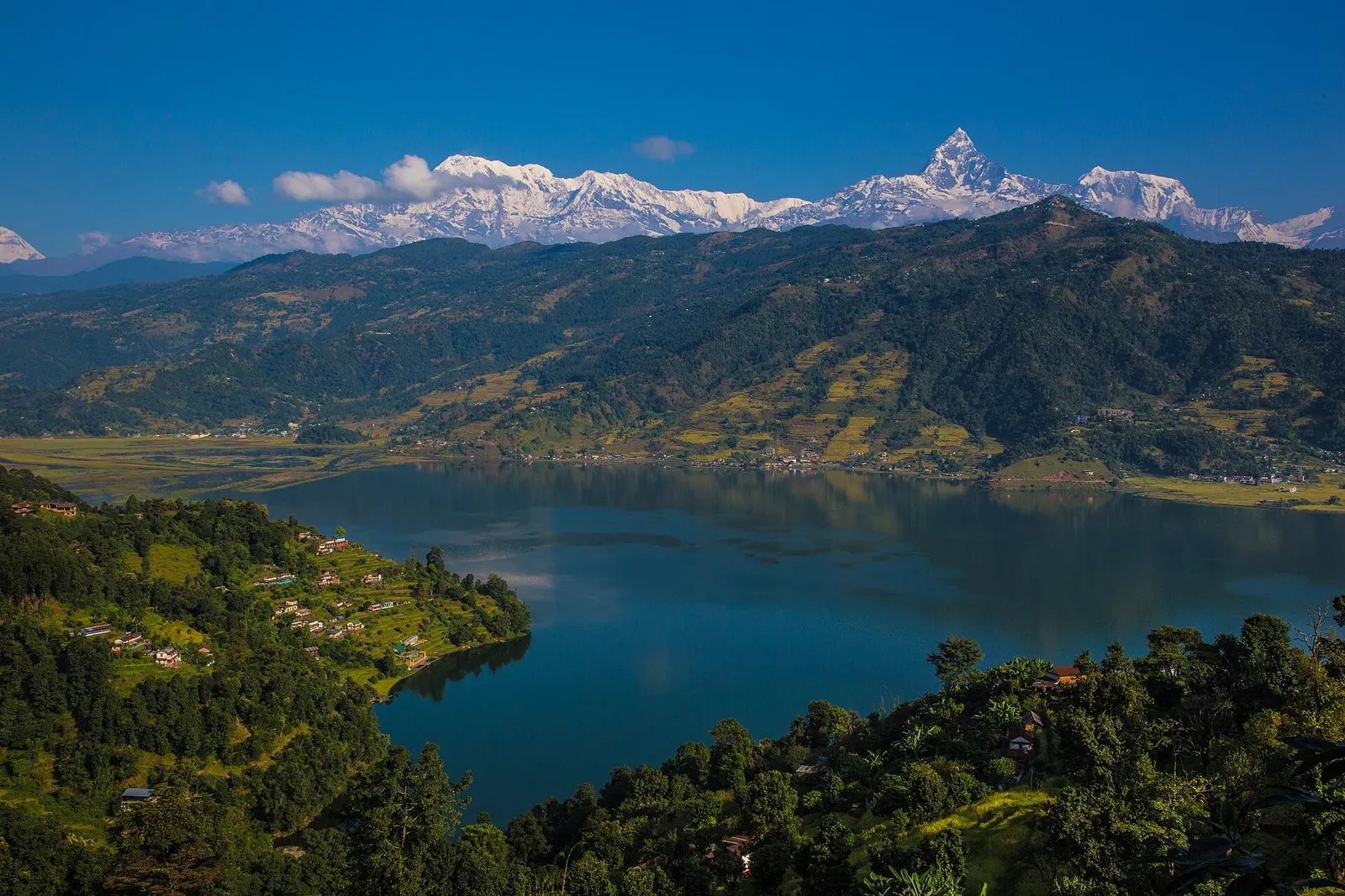 Phewa Lake seen from the forested hills above Pokhara, with the snowy Annapurna range and the peak of Machhapuchhre on the horizon