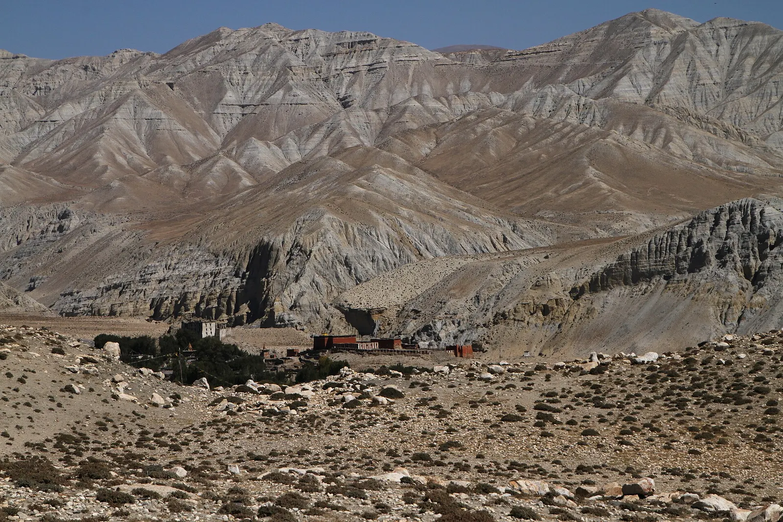 Charang village seen across a stony plain, below eroded grey hills in Upper Mustang.