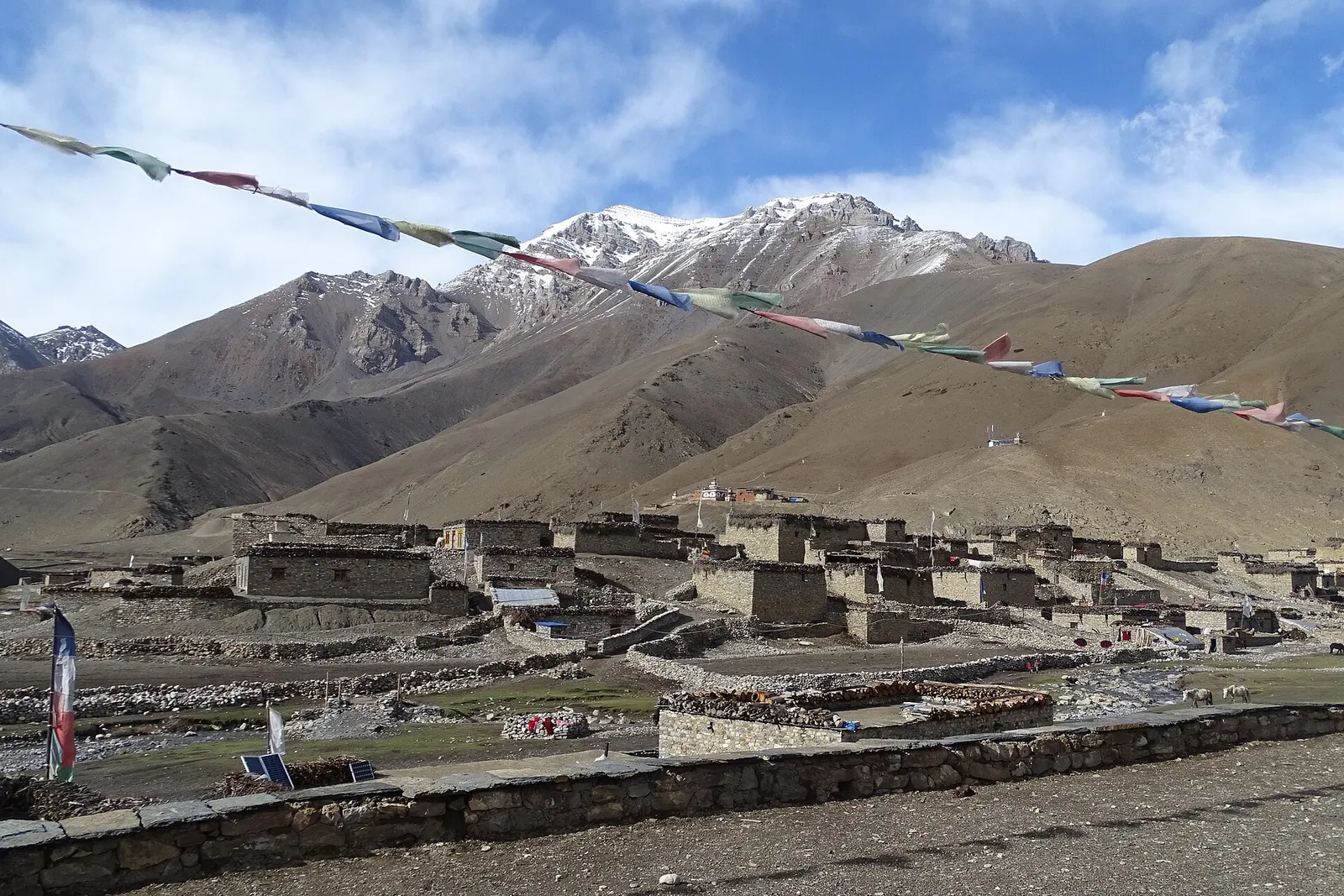 Flat-roofed stone houses of Dho village under prayer flags, with bare brown hills and a snowy peak behind.
