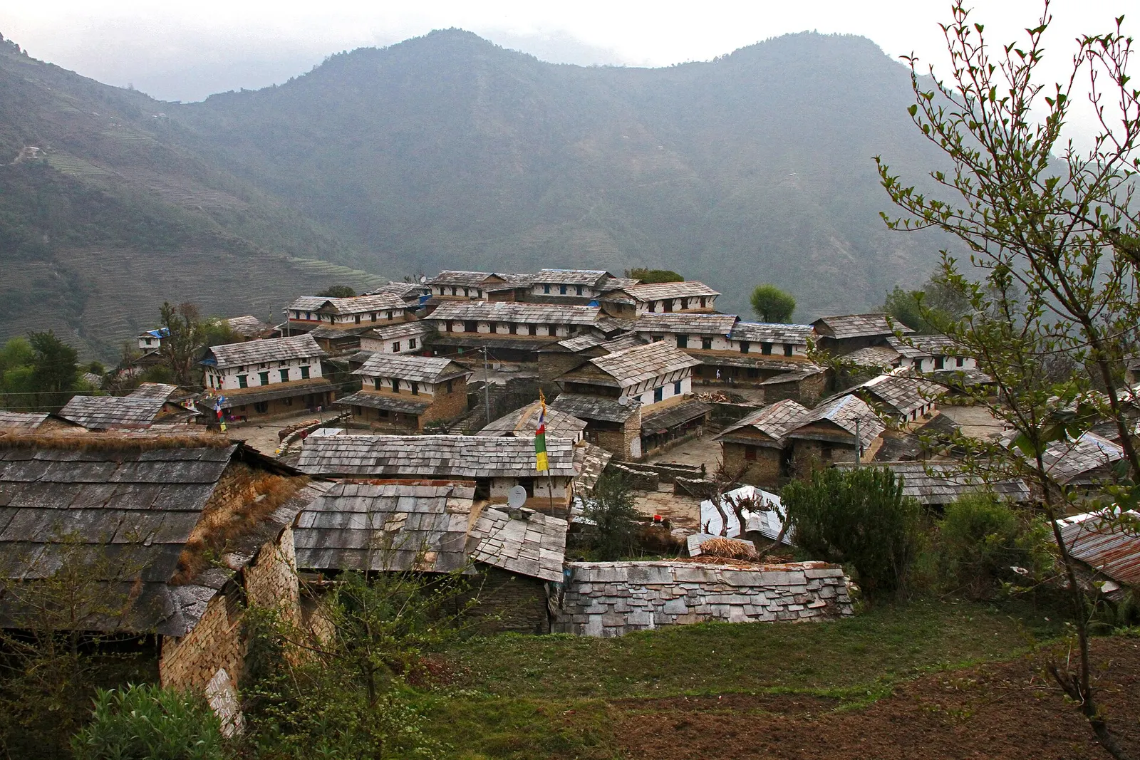 Slate-roofed Gurung houses and stone paths in the centre of Ghandruk.