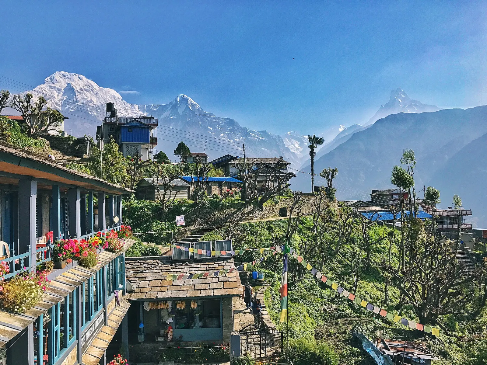 Slate-roofed lodges with flower-lined terraces in Ghandruk, with Annapurna South rising behind.