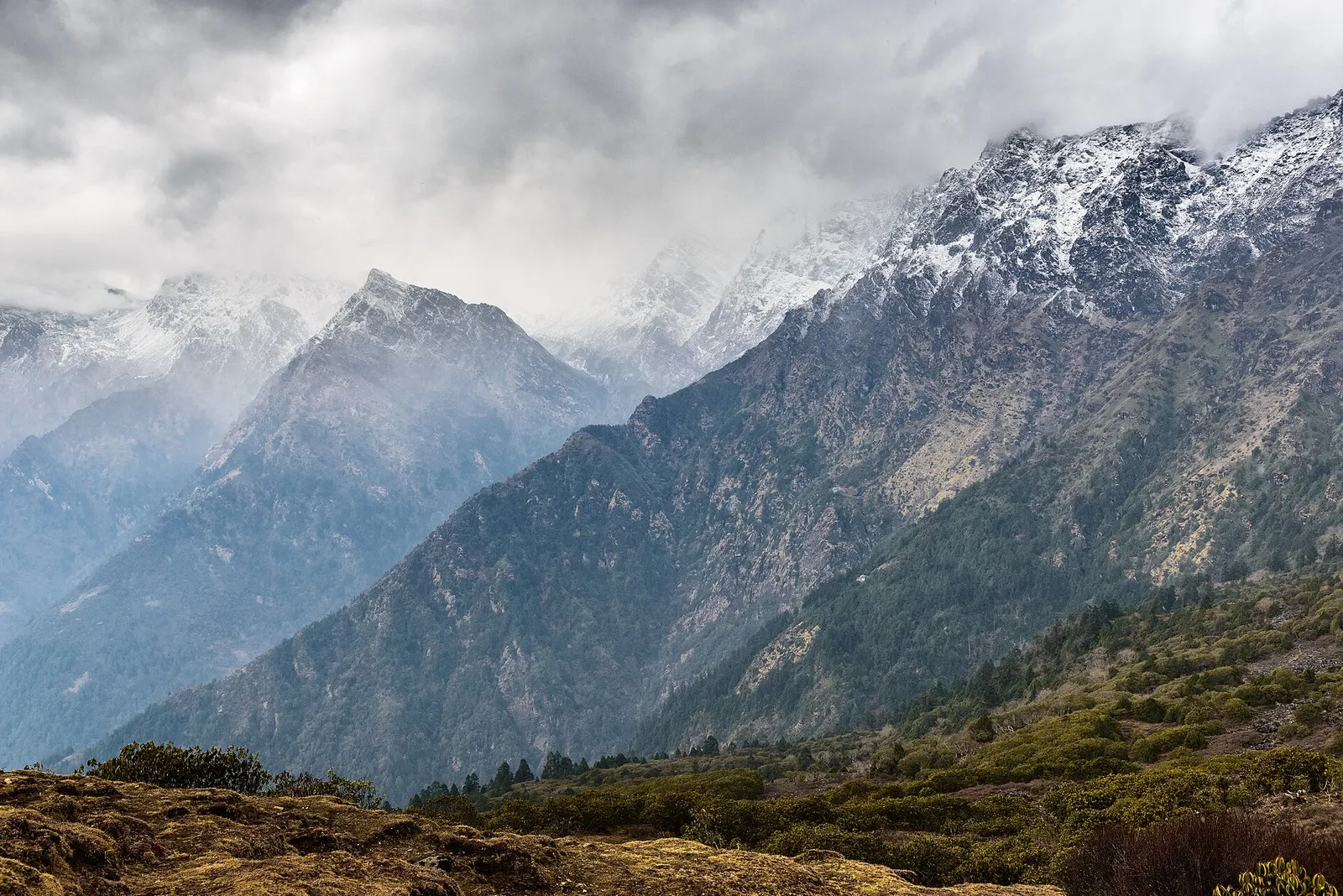 Snow-covered Himalayan peaks above the forested slopes of Langtang National Park.