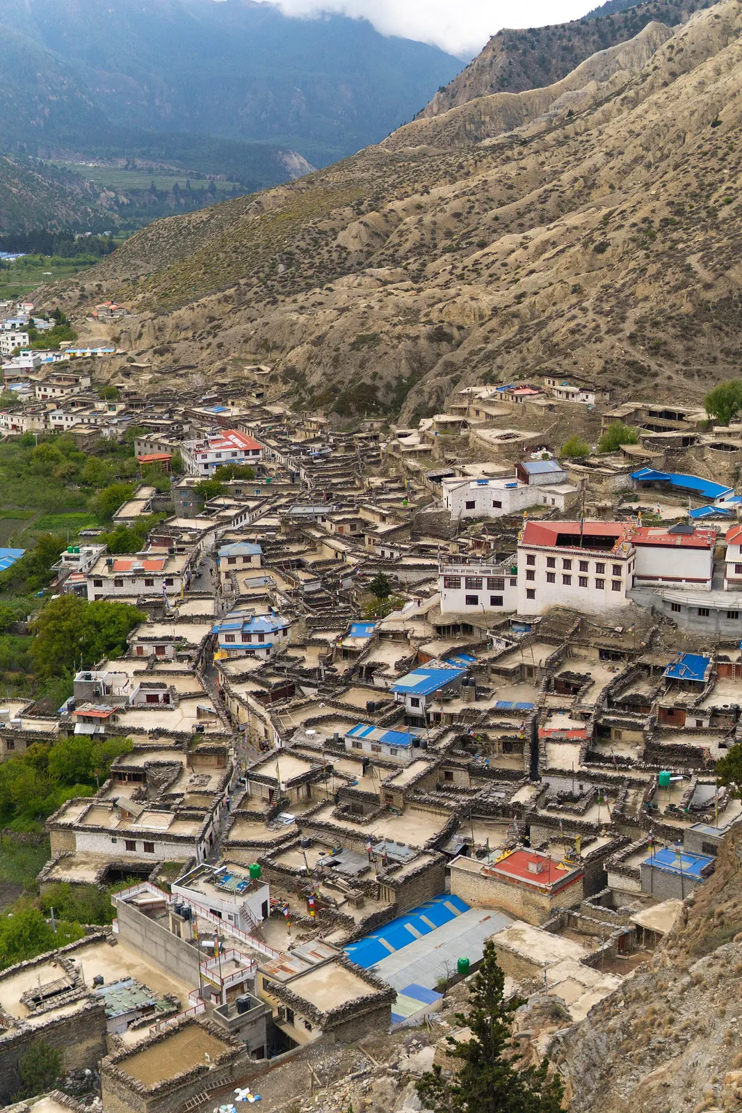 Flat-roofed stone houses of Marpha village packed together, seen from the hillside above.