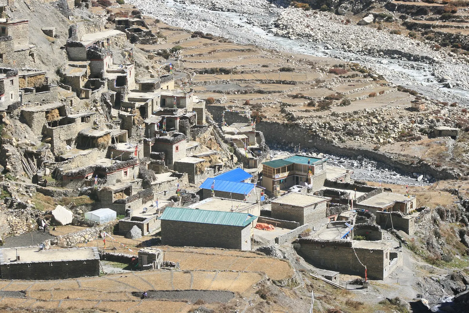 Flat-roofed stone houses stacked on a barren hillside in the Nar Phu valley.