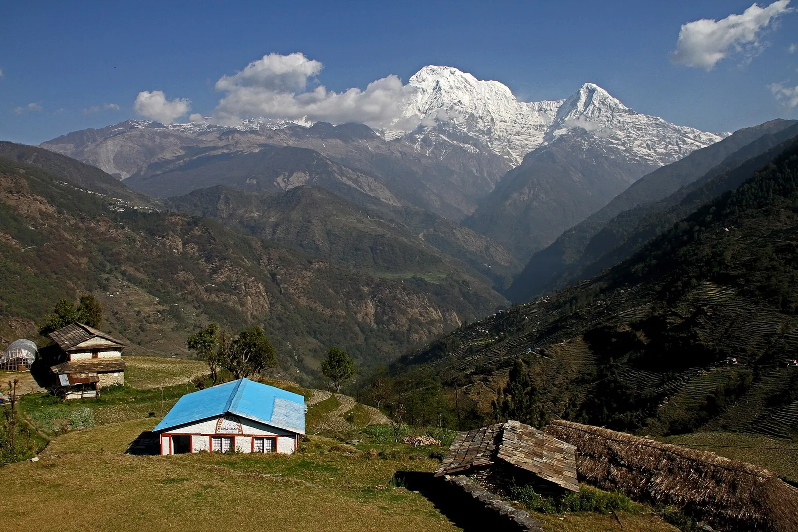 Houses of Tolka on a forested ridge with the snow peaks of Annapurna South and Hiunchuli behind.