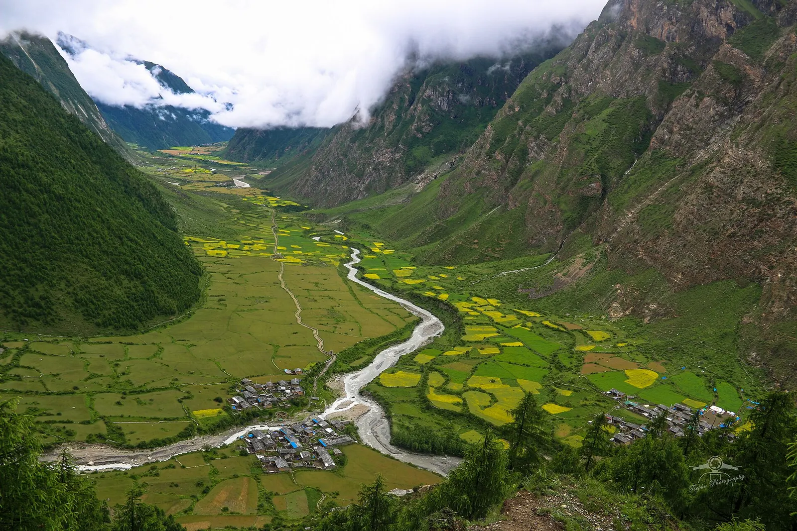 The Tsum Valley in Gorkha with terraced fields and forested slopes below snow peaks.