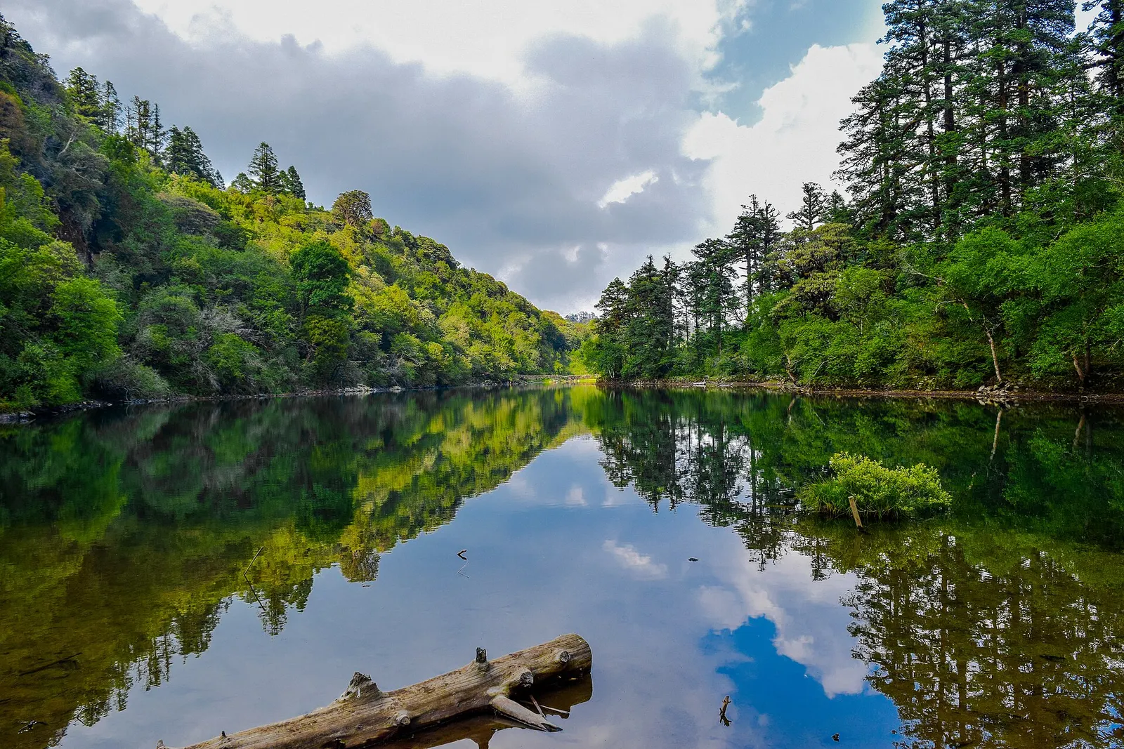 Still Khaptad Lake reflecting tall conifers, green slopes and clouds