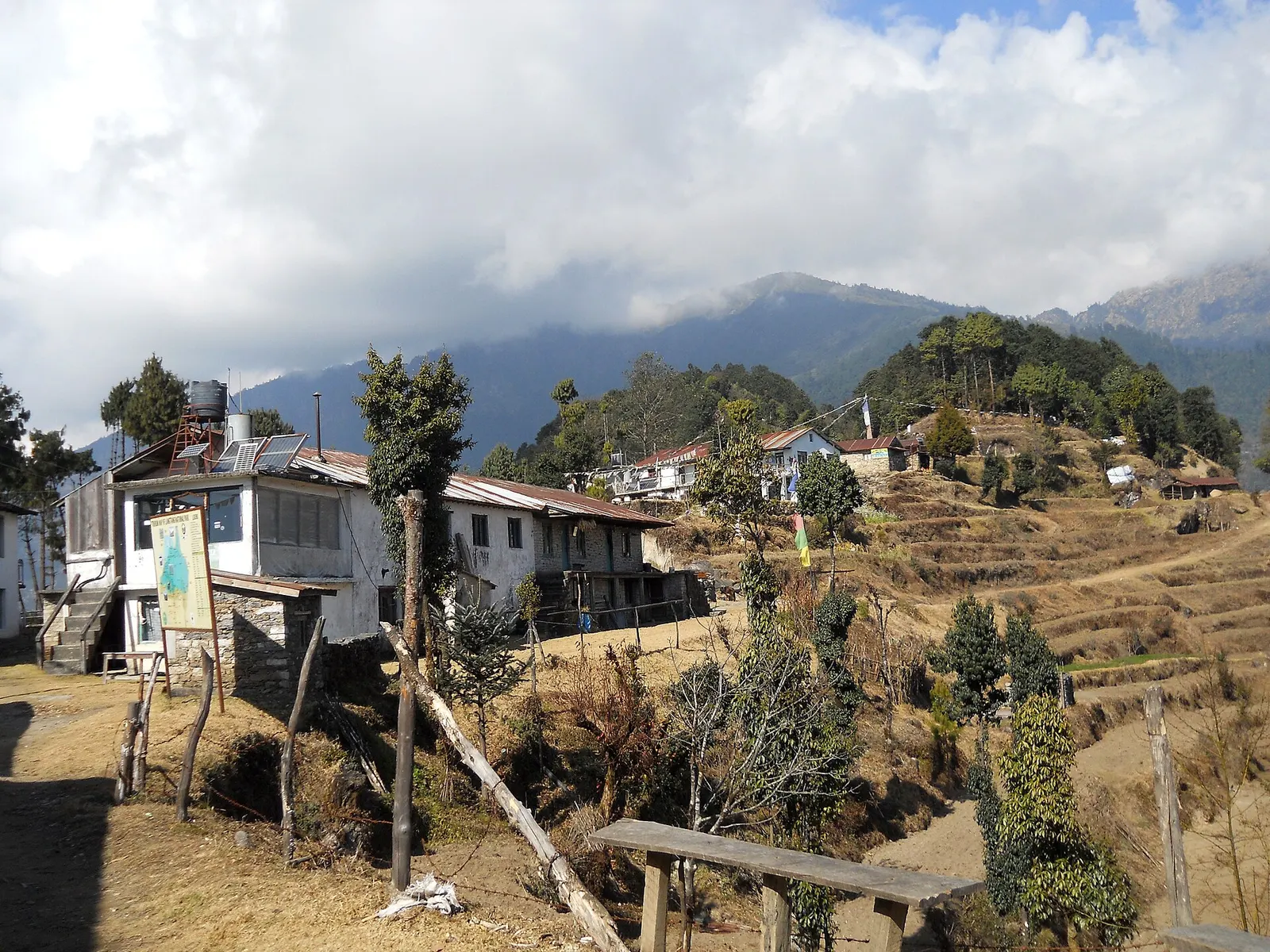 Houses and lodges of Kutumsang on a terraced ridge with pine trees and forested hills behind.
