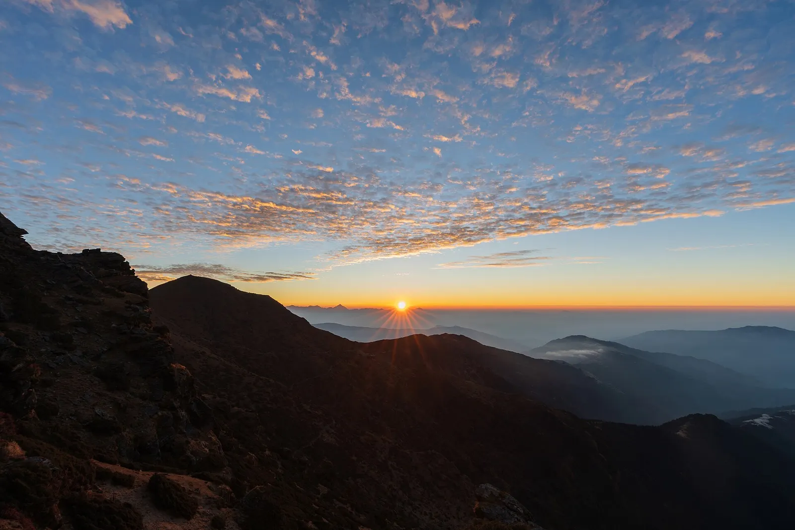 First light over a long line of snow peaks on the horizon, seen from the summit of Pikey Peak above forested ridges.